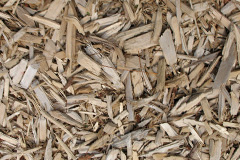 biomass boilers Bachau