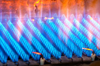 Bachau gas fired boilers